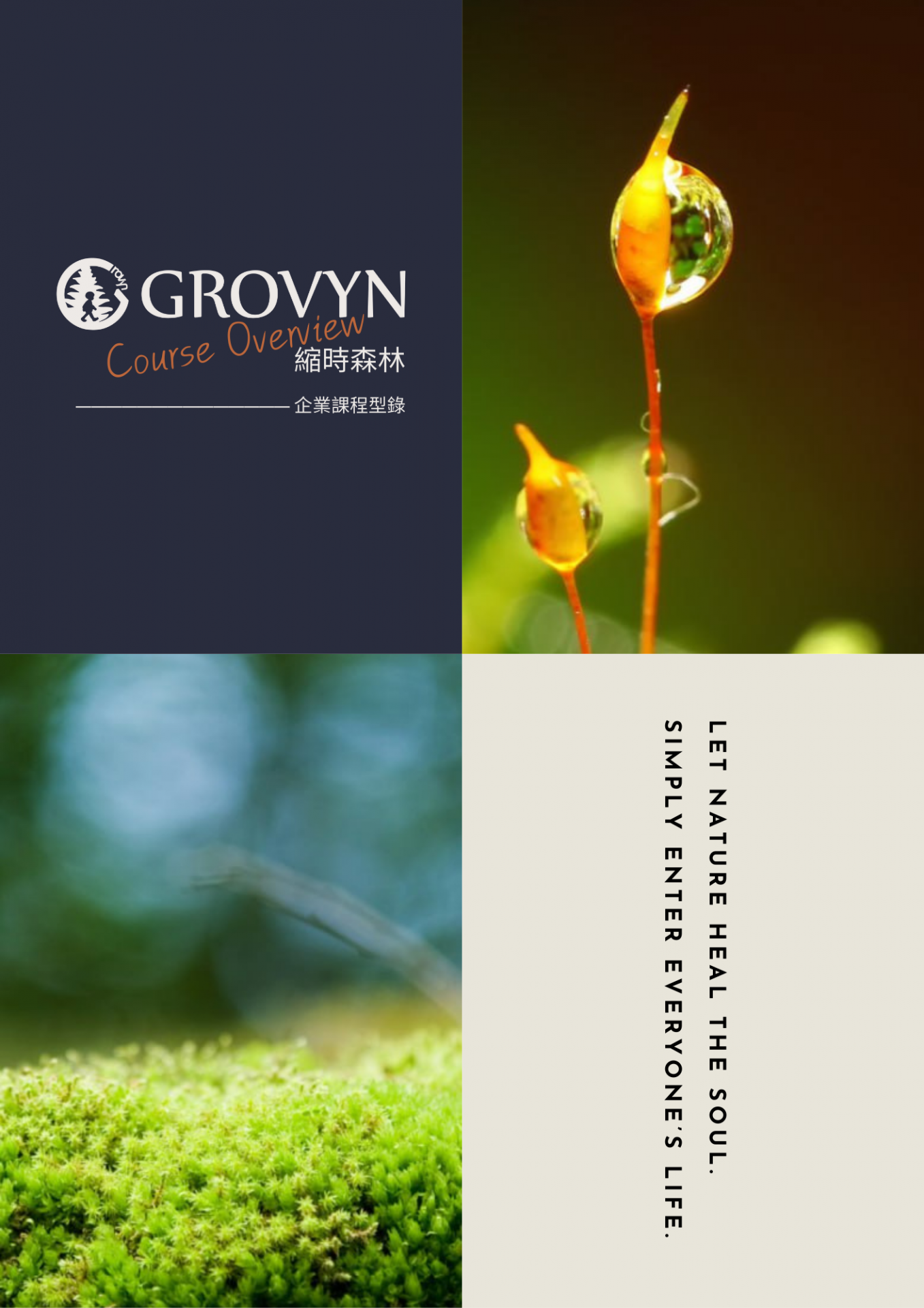 縮時森林-企業課程型錄